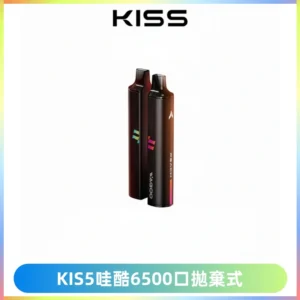 KIS5WAGOO哇酷6500口拋棄式 | 自由混搭雙口味 | 雙芯組合